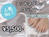【人気No.1】フット★マグネットワンカラー ￥5,500