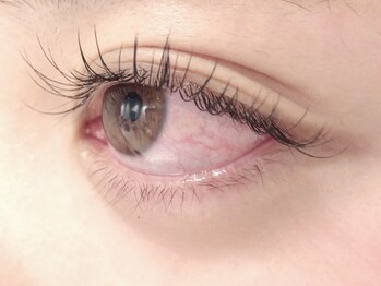 カラン 焼津店(CALIN)/フラットラッシュ120本