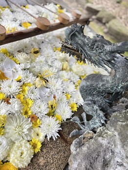 マシュマロハンド/よもぎ蒸し/冷え/むくみ改善