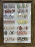 【全員】ネイリスト宮本　定額6050円〈新規オフ込〉