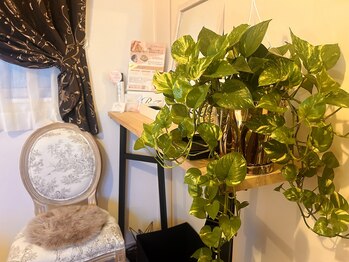 サロン ド アオゾラ(Salon de Aozora)/緑溢れる落ち着く癒し施術ルーム