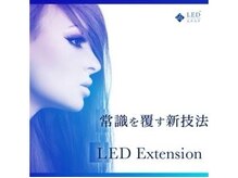 ALBAの雰囲気（ディプロマ取得済み☆）