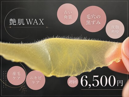 ダリア(Dahlia)の写真