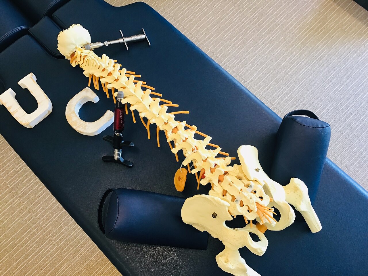 アンリーシュ カイロプラクティック(Unleash Chiropractic
