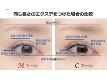 リアプリンセス(li'a Princess)/Mカールの特徴