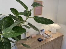 サイカモア(saika more)/【内観4】