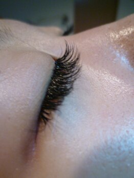 サロン ド グランデール 鳳店/まつげエクステ