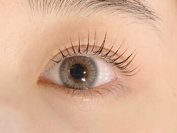 レイア 豊中店(Leia RISE HAIR BRAND)の写真/まつげメニューが新登場♪マツエクで自まつげを根元から立ち上げ自然なパッチリに★初めての方にも◎