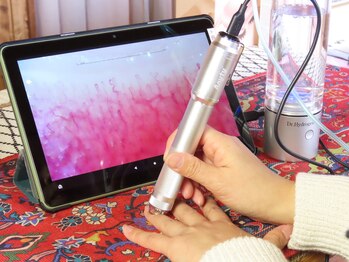 グリンダ キタイ(glinda kitai)/あなたの毛細血管は？？