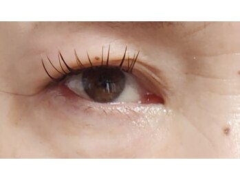 ジャポネスク(JAPONESQUE)/Cカール