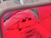 ライカブルー(RaicA BluE)/韓国LED【赤】