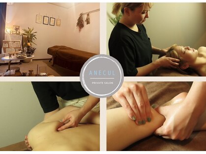 アネクル(ANECUL)の写真