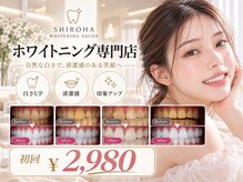 シロハ(SHIROHA)