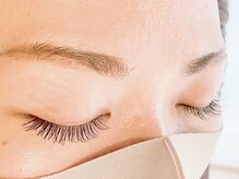 ループ(LOOP)/フラットラッシュ120本