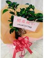 スタジオ1108(Studio1108) お店の守り神がじゅまる