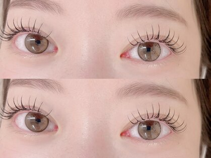 ミニュイ(Minuit)の写真