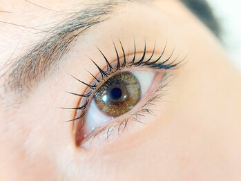 エーピー(Ap)/人気のメーテルデザインも♪