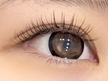 ジラッシュ(G/ash)/【新素材フラットラッシュ】100