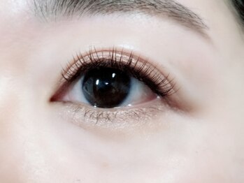 千草(Chigusa)/フラットラッシュ ブラウン120本