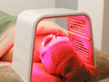 シャンディ(Shandy)/LEDオメガライト赤