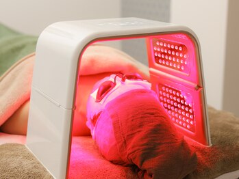 シャンディ(Shandy)/LEDオメガライト赤