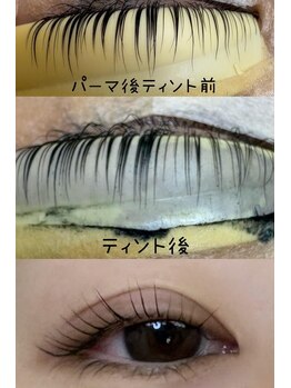 アクアプラス(aqua+)/ティントパーマ