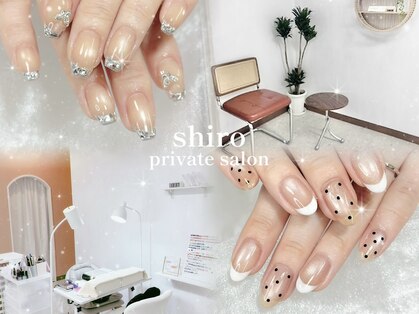 シロ(shiro)の写真