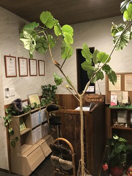 スマイル(Smile)/受付カウンター