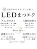 【LED】フラットラッシュ160本（オフ無料）　¥8800   ※2・3回目も500円OFF