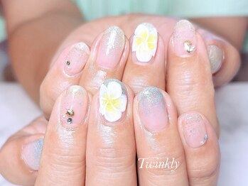 トゥインクリーネイルサロン(Twinkly Nail Salon)/定額メニューデザインプラン