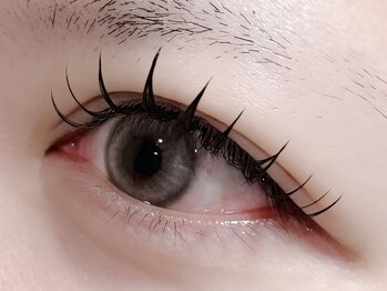 チュリップサカエ(Tulipe sakae)/一重まつげパーマ