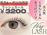 [1ヶ月以内]潤いまつげパーマ★くるんとカール【ラッシュカール】¥3200
