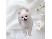 メルト 中目黒(Melt.)の雰囲気（看板犬の白いポメラニアンと一緒にお出迎えします◇）