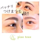 パインツリー(pine tree)