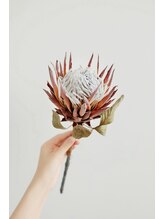 ドゥシュール(Douceur)&nbsp;SAKURA 