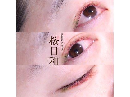 京都のまつげ 桜日和の写真
