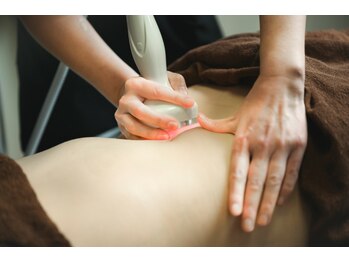 アルパカ(ALPACA)/エルフィーノ