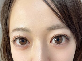 シャルコット(shall cocotte。)/新メニューフラットラッシュ