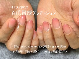 自爪育成グラデーション