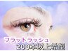 【新規】フラットラッシュ240本