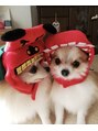 ハワイアンフォレストSpa つくばみらい平店 家に帰ると愛犬たちが癒してくれます。