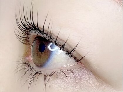 カラーアイラッシュ(Color eyelash)の写真