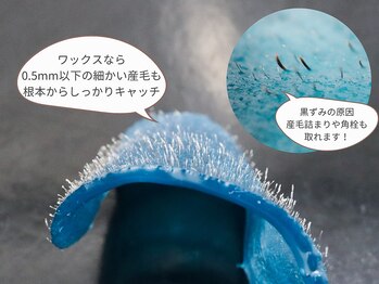 クリード(CLEAD)/0.5mm以下の細かい産毛も