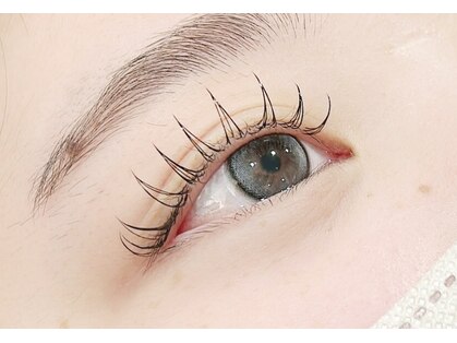 リノレア(Lino Lea)の写真