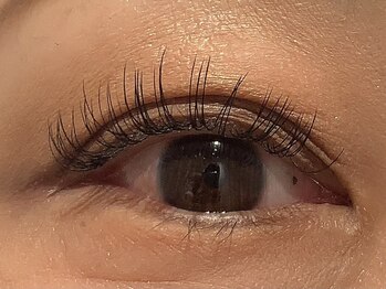 カラン 焼津店(CALIN)/フラットラッシュ120本