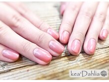 ケアダリア(kea’Dahlia)/グラデーション【所沢/小手指】