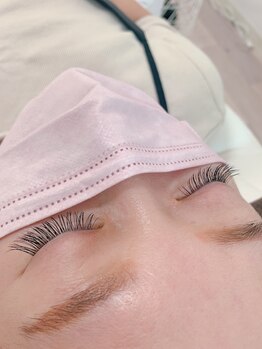 ラ フルール(La fleur)/フラットラッシュ120本