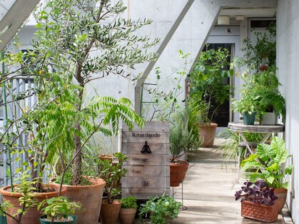 リタルダンドの写真