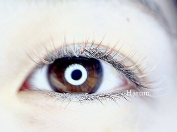 ハルム(HARUM)/カラーエクステ