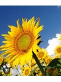 メナード 水戸見川店 お花が好き◇特に好きなお花は「向日葵」です♪